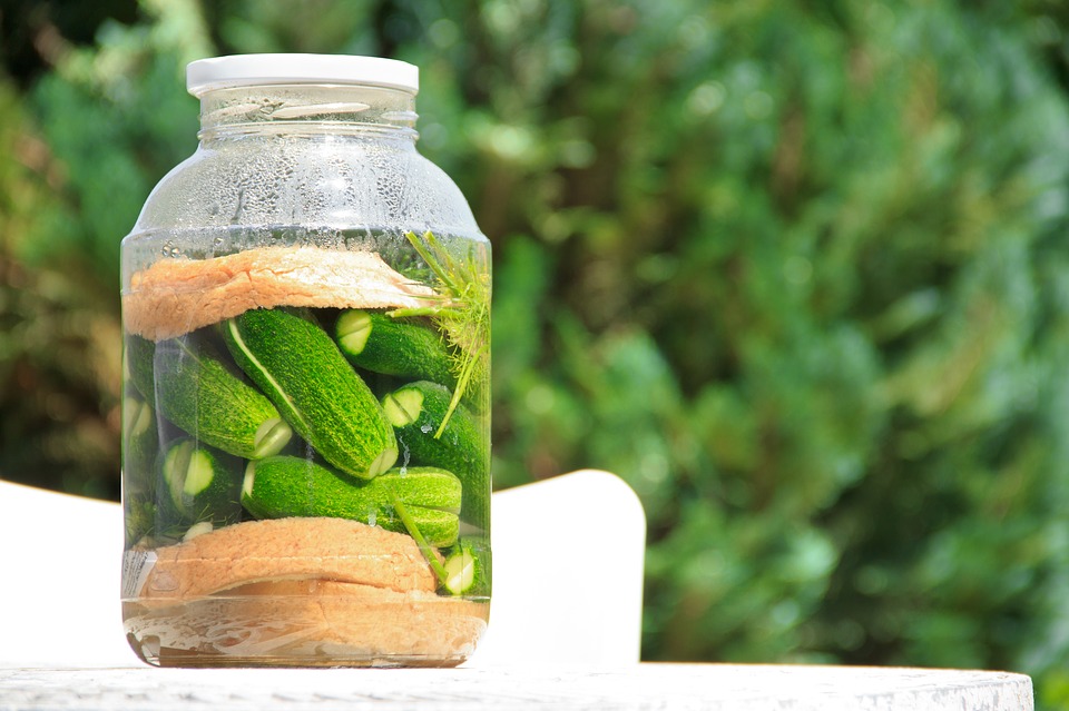 pickled-cucumber-1630906_960_720.jpg