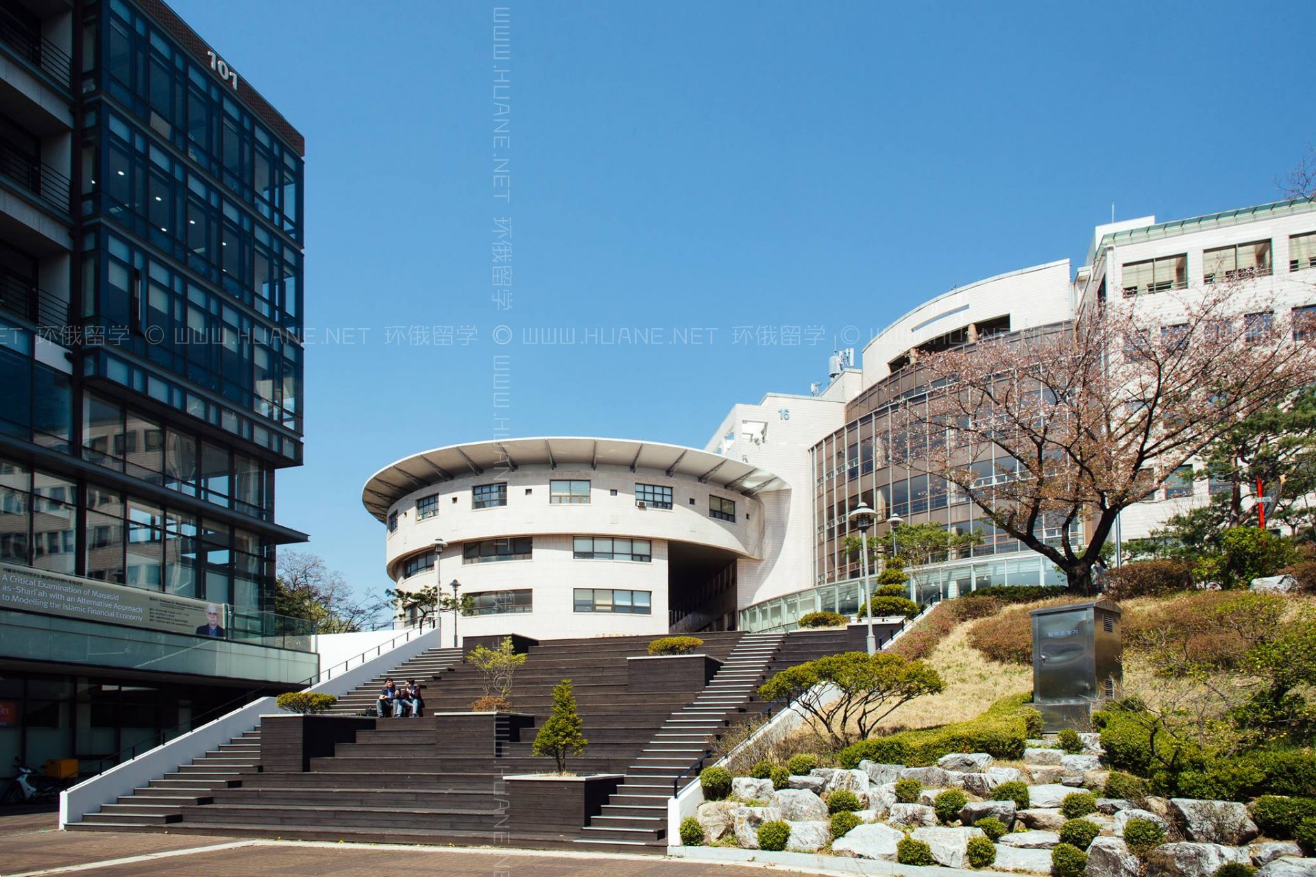 首尔国立大学