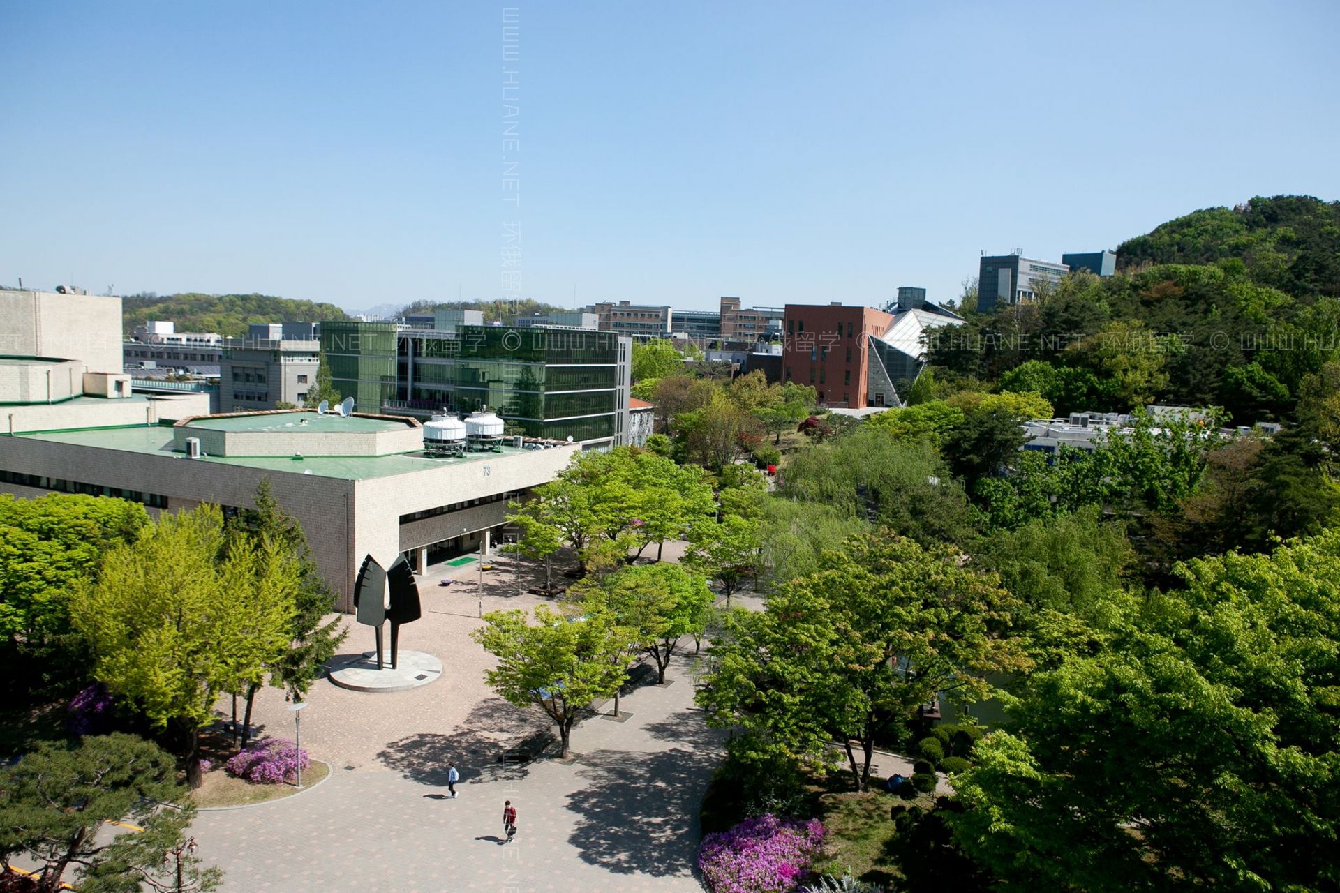 首尔国立大学
