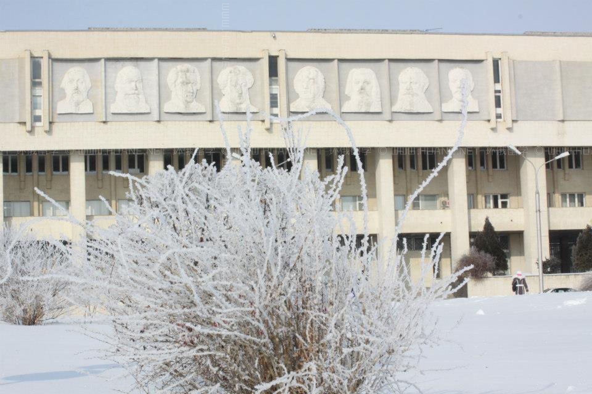 伏尔加格勒国立大学