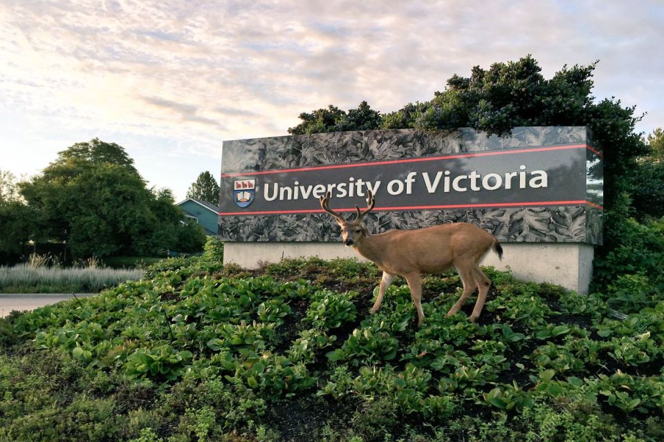 加拿大维多利亚大学  可能你还不知道的留学信息