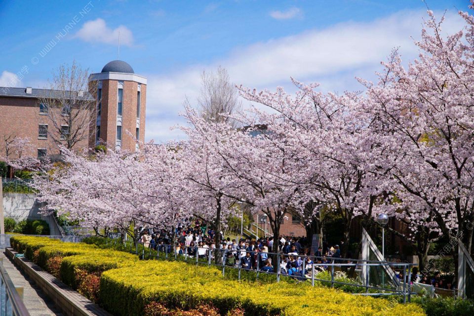 日本大学院研究生一年的留学费用要多少钱？