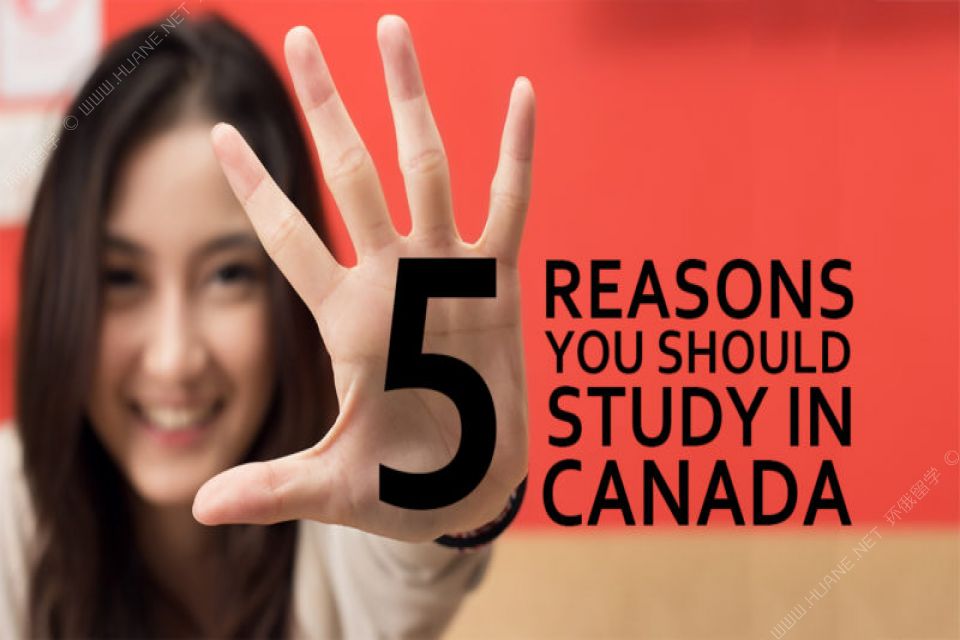这五大理由来告诉你为什么越来越多的人要到加拿大留学！