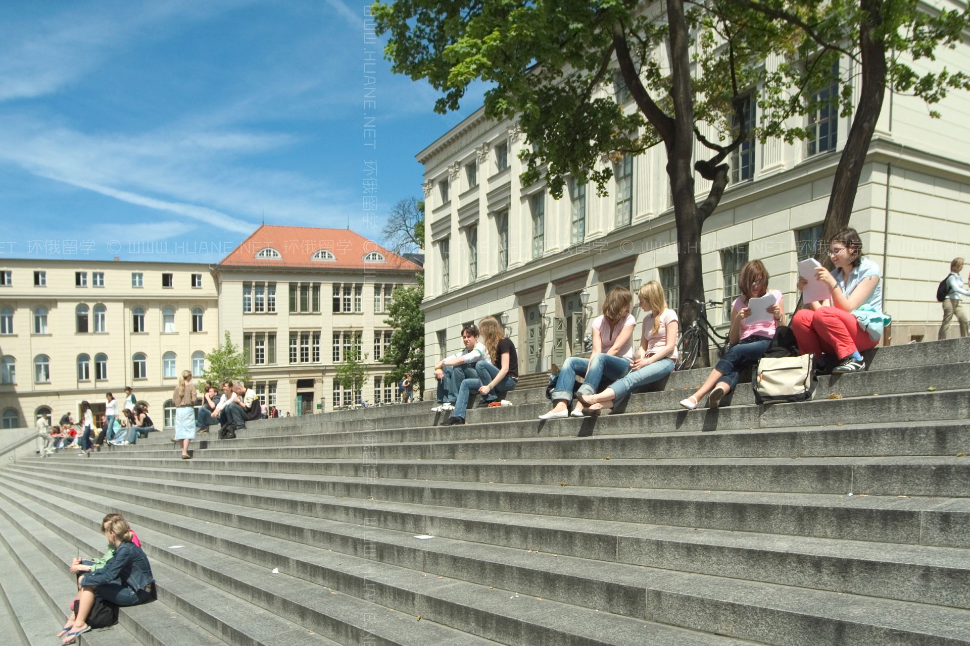 哈勒-维滕贝格大学