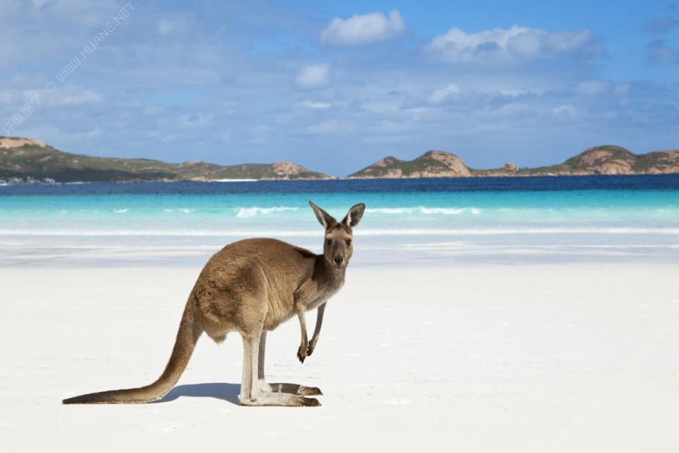 澳大利亚音乐留学申请难不难？需要什么条件才可以去？