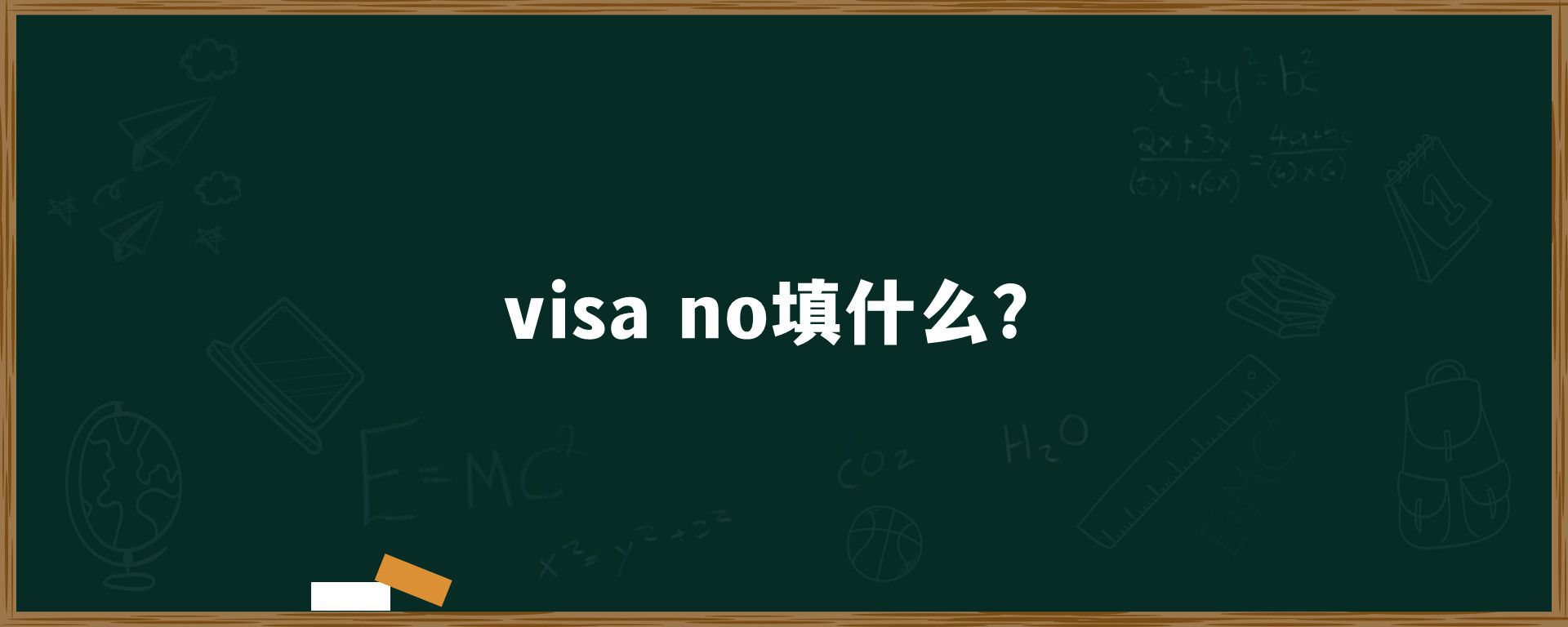 visa no填什么？